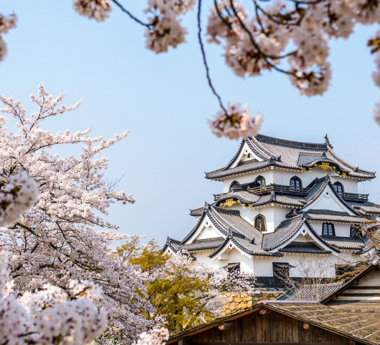 Japon Japon