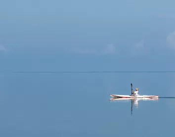 Kayak