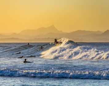 Surf Surf