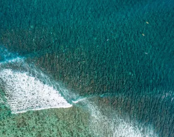 Surf Ocean Surf Ocean